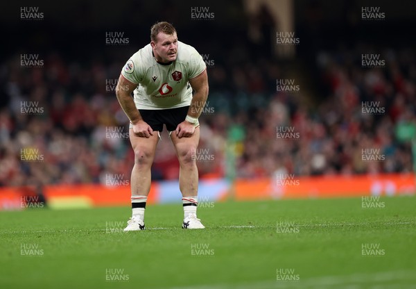 151125 - Wales v Japan - Quilter Nations Series - Dewi Lake of Wales 