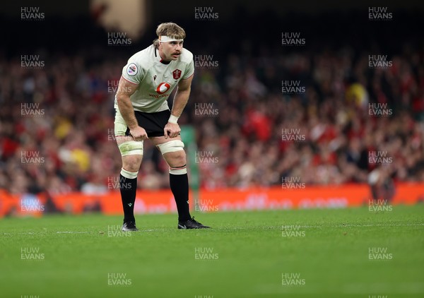 151125 - Wales v Japan - Quilter Nations Series - Aaron Wainwright of Wales 