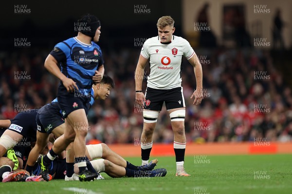 151125 - Wales v Japan - Quilter Nations Series - Taine Plumtree of Wales 