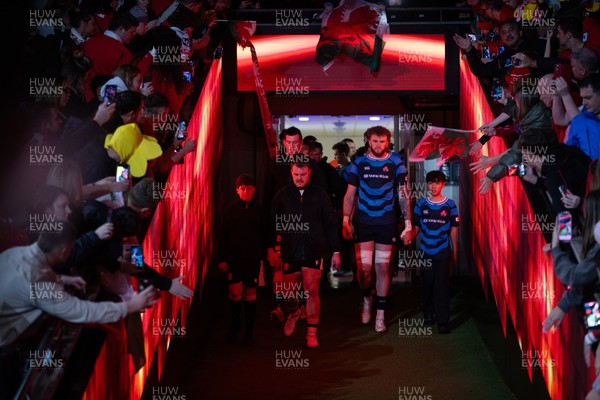 151125 - Wales v Japan - Quilter Nations Series - Teams walk down the tunnel at the start of the match
