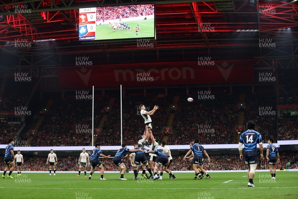 151125 - Wales v Japan - Quilter Nations Series - Alex Mann of Wales wins the line out