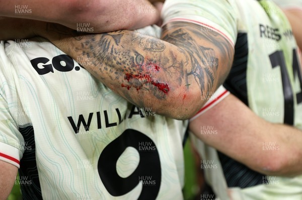 151125 - Wales v Japan - Quilter Nations Series - Louis Rees-Zammit of Wales 