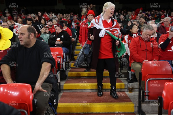 151125 - Wales v Japan - Quilter Nations Series - Fans