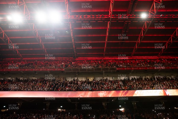 151125 - Wales v Japan - Quilter Nations Series - Fans