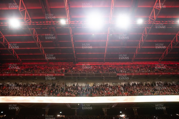 151125 - Wales v Japan - Quilter Nations Series - Fans