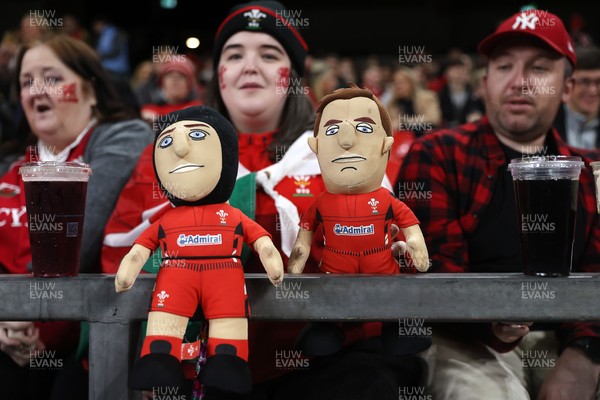 151125 - Wales v Japan - Quilter Nations Series - Fans