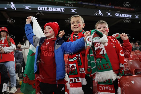 151125 - Wales v Japan - Quilter Nations Series - Fans
