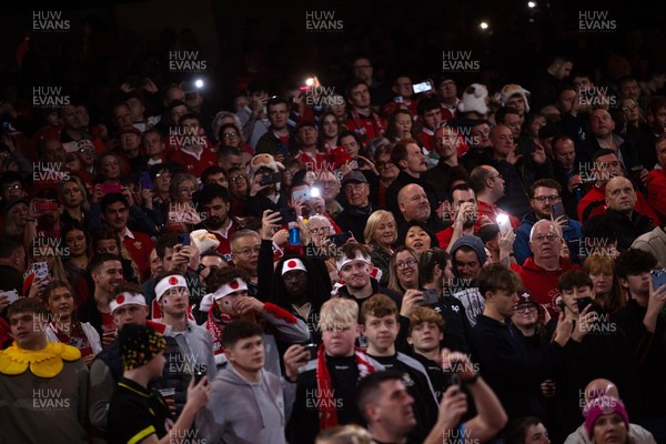 151125 - Wales v Japan - Quilter Nations Series - Fans
