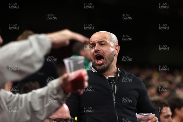 151125 - Wales v Japan - Quilter Nations Series - Fans