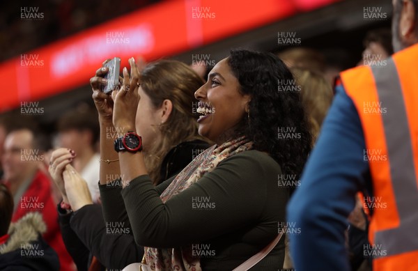 151125 - Wales v Japan - Quilter Nations Series - Fans