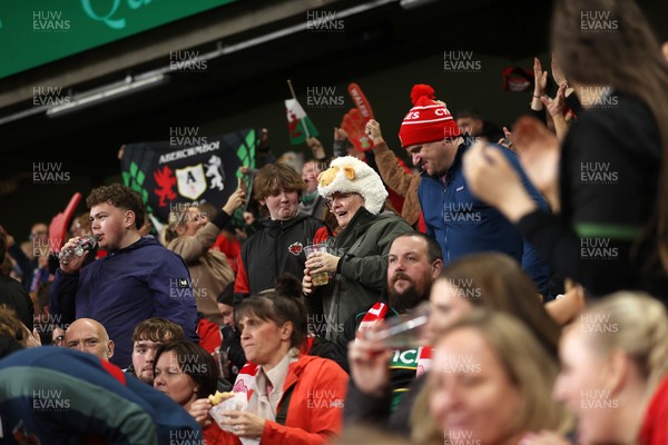 151125 - Wales v Japan - Quilter Nations Series - Fans
