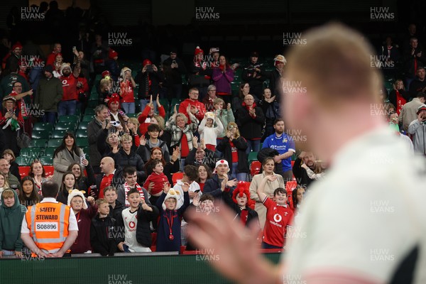 151125 - Wales v Japan - Quilter Nations Series - Fans