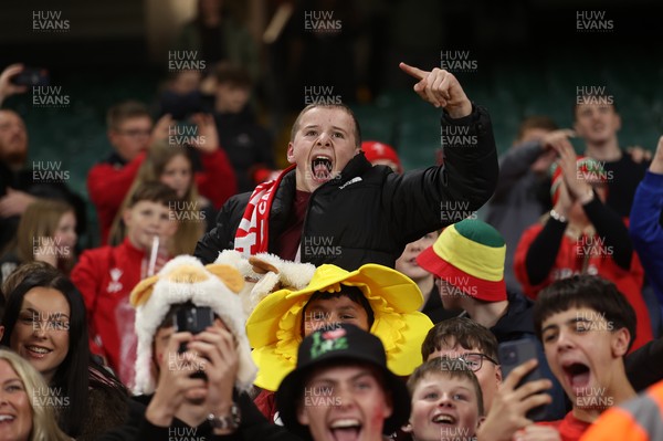 151125 - Wales v Japan - Quilter Nations Series - Fans