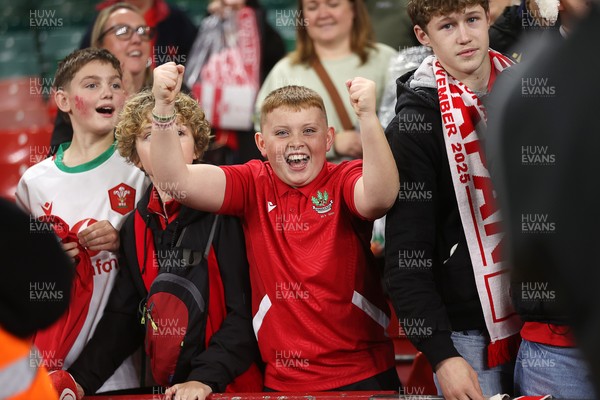 151125 - Wales v Japan - Quilter Nations Series - Fans