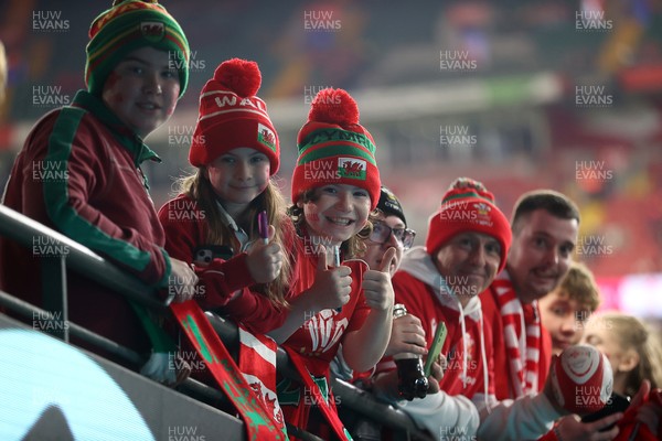 151125 - Wales v Japan - Quilter Nations Series - Fans