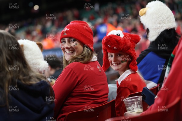 151125 - Wales v Japan - Quilter Nations Series - Fans