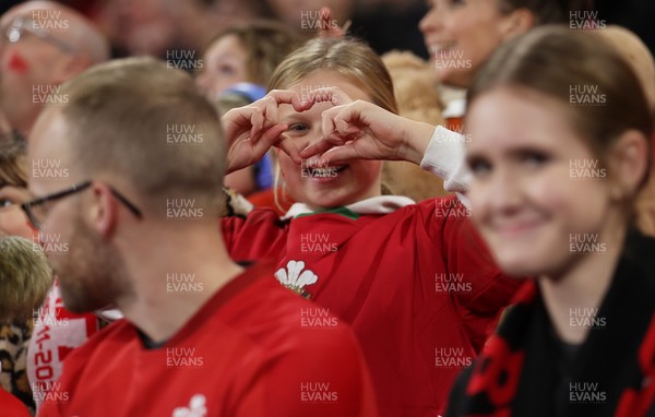 151125 - Wales v Japan - Quilter Nations Series - Fans