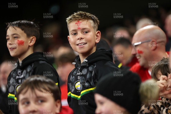 151125 - Wales v Japan - Quilter Nations Series - Fans