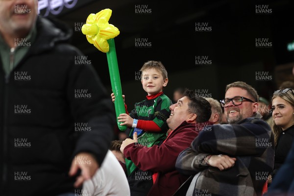 151125 - Wales v Japan - Quilter Nations Series - Fans