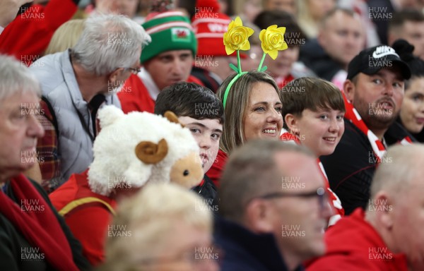 151125 - Wales v Japan - Quilter Nations Series - Fans