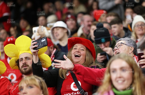 151125 - Wales v Japan - Quilter Nations Series - Fans