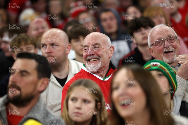 151125 - Wales v Japan - Quilter Nations Series - Fans