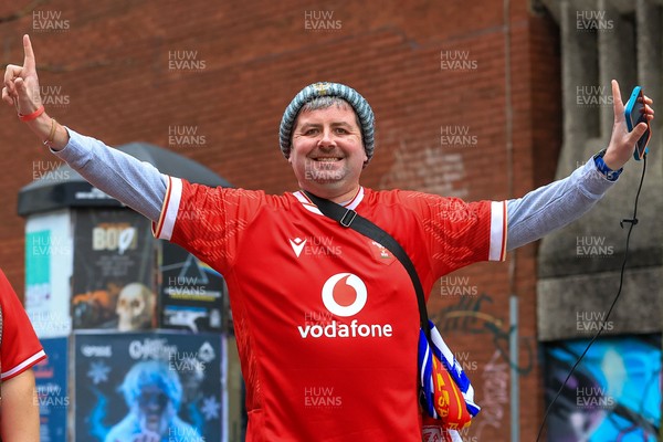 151125 - Wales v Japan - Quilter Nations Series - Wales fans outside the stadium