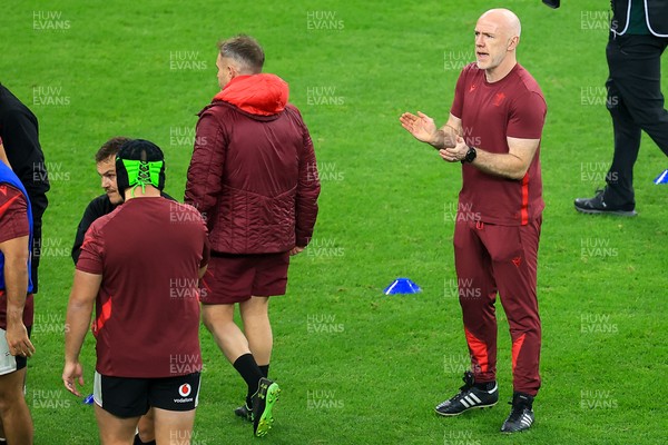 151125 - Wales v Japan - Quilter Nations Series - Wales Head Coach Steve Tandy
