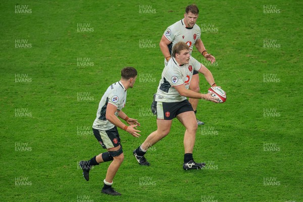 151125 - Wales v Japan - Quilter Nations Series - 