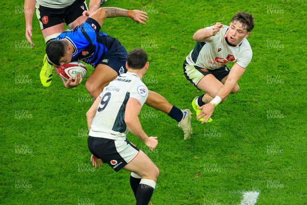 151125 - Wales v Japan - Quilter Nations Series - 