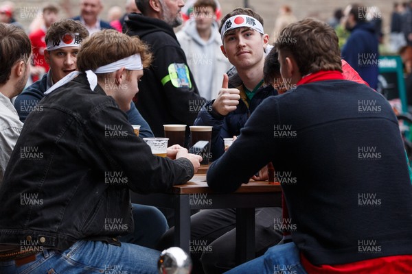 151125 - Wales v Japan - Quilter Nations Series - Wales fans before the match