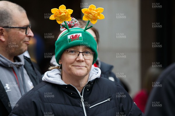 151125 - Wales v Japan - Quilter Nations Series - Wales fans before the match