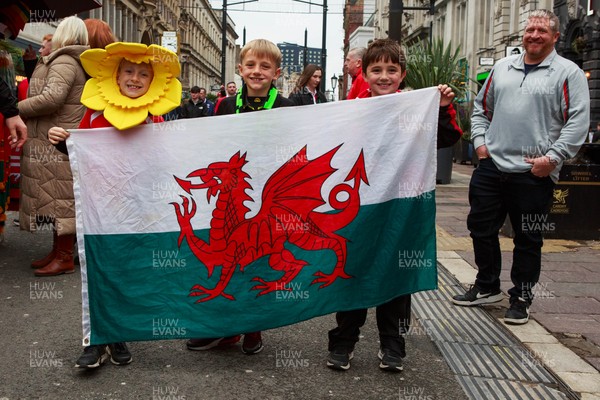 151125 - Wales v Japan - Quilter Nations Series - Wales fans before the match