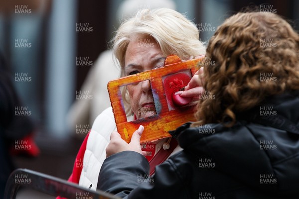 151125 - Wales v Japan - Quilter Nations Series - Wales fans before the match