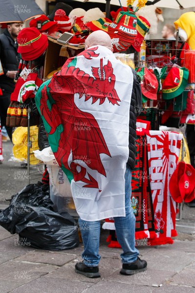 151125 - Wales v Japan - Quilter Nations Series - Wales fans before the match