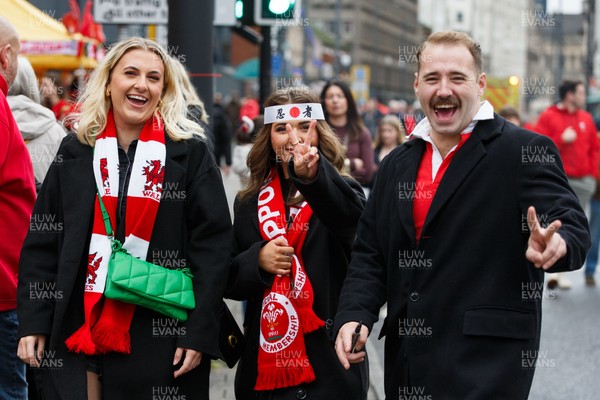 151125 - Wales v Japan - Quilter Nations Series - Wales fans before the match