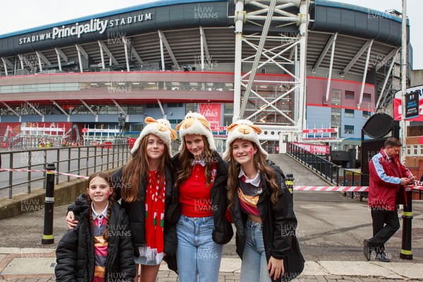 151125 - Wales v Japan - Quilter Nations Series - Wales fans before the match