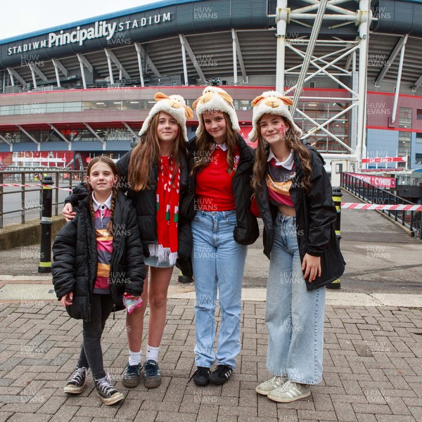 151125 - Wales v Japan - Quilter Nations Series - Wales fans before the match
