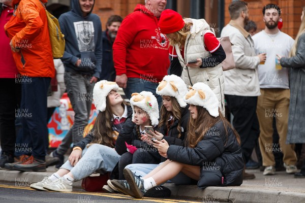 151125 - Wales v Japan - Quilter Nations Series - Wales fans before the match