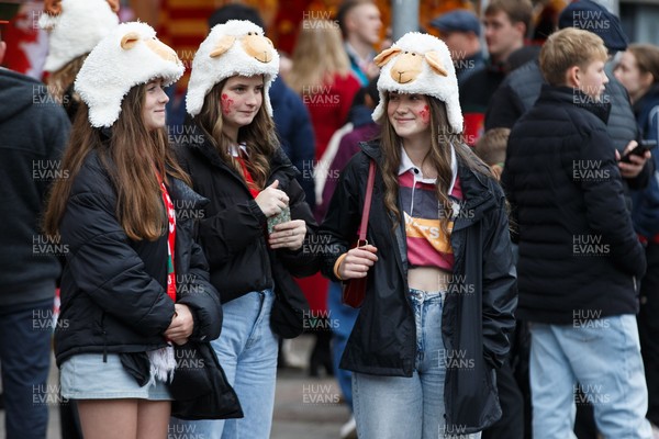 151125 - Wales v Japan - Quilter Nations Series - Wales fans before the match
