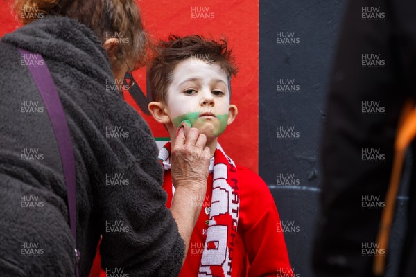 151125 - Wales v Japan - Quilter Nations Series - Wales fans before the match