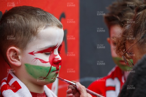 151125 - Wales v Japan - Quilter Nations Series - Wales fans before the match