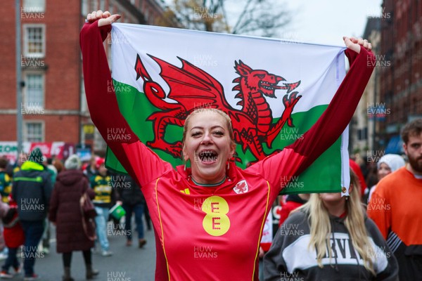 151125 - Wales v Japan - Quilter Nations Series - Wales fans outside the stadium before the match