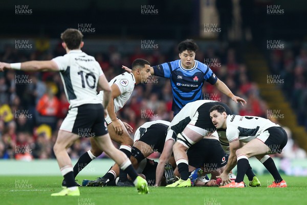 151125 - Wales v Japan - Quilter Nations Series - Tomos Williams of Wales passes the ball