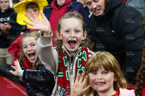 151125 - Wales v Japan - Quilter Nations Series - Wales fans during the match