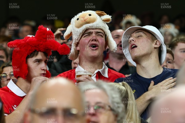 151125 - Wales v Japan - Quilter Nations Series - Wales fans during the match