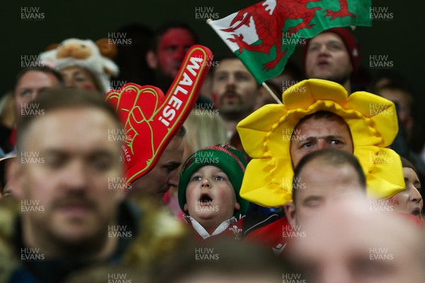 151125 - Wales v Japan - Quilter Nations Series - Wales fans during the match