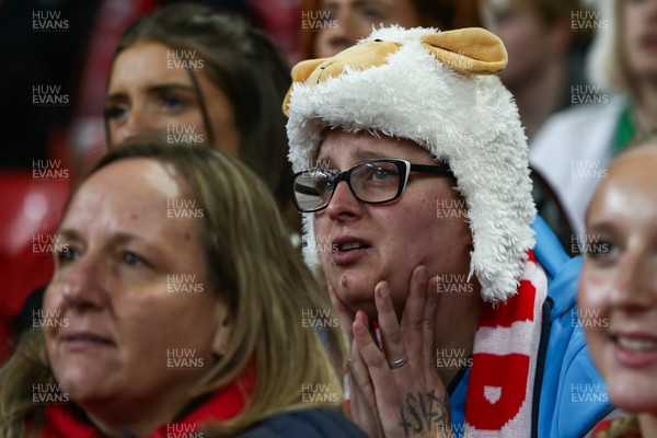 151125 - Wales v Japan - Quilter Nations Series - Wales fans during the match