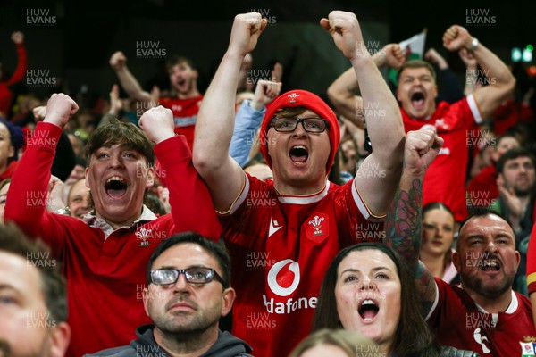 151125 - Wales v Japan - Quilter Nations Series - Wales fans during the match
