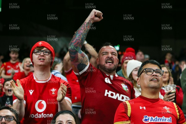 151125 - Wales v Japan - Quilter Nations Series - Wales fans during the match